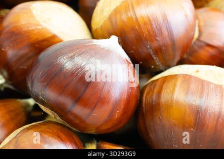 Edible sweet chestnuts with roasted chestnuts isolated on white background. Stock Photo