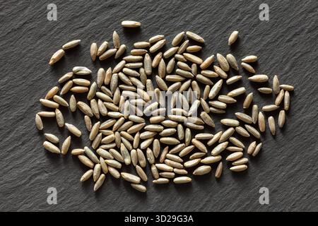 Whole rye seeds scattered on a dark slate surface. Ideal for visuals on nutrition, agriculture, baking, and whole grain food photography. Stock Photo