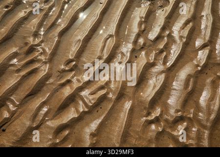 Close-up of sunlit patterns in rippled wet sand at low tide, on the beach at Bigbury, Devon, Great Britain. Stock Photo