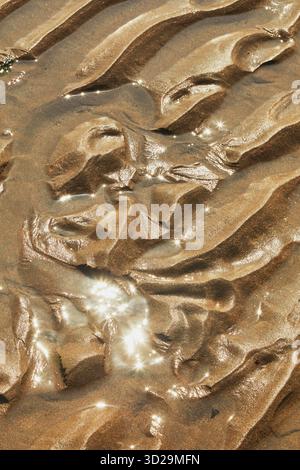 Close-up of sunlit patterns in rippled wet sand at low tide, on the beach at Bigbury, Devon, Great Britain. Stock Photo