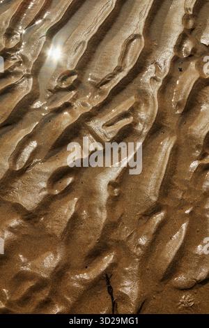 Close-up of sunlit patterns in rippled wet sand at low tide, on the beach at Bigbury, Devon, Great Britain. Stock Photo