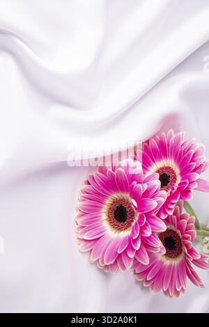 Vertical festive background of white satin fabric with soft waves and lively pink gerberas. A copy space. postcard, wallpaper, cover Stock Photo