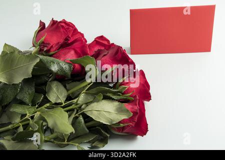 A large bouquet of beautiful red roses on a white background with a postcard for writing your text. festive composition Stock Photo