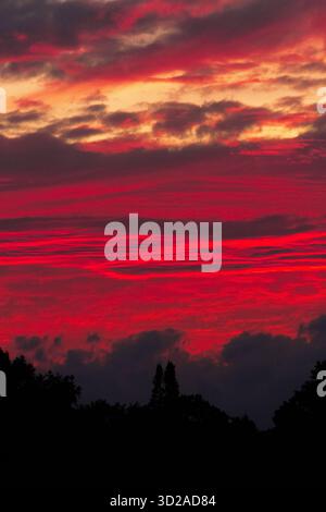 Dramatic fiery red sunset with layered clouds and tree silhouettes on the horizon. No people. Stock Photo
