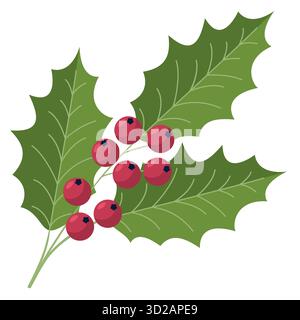 Christmas holly branch illustration. Vector illustration of festive holly twig with green leaves, red berries Stock Vector
