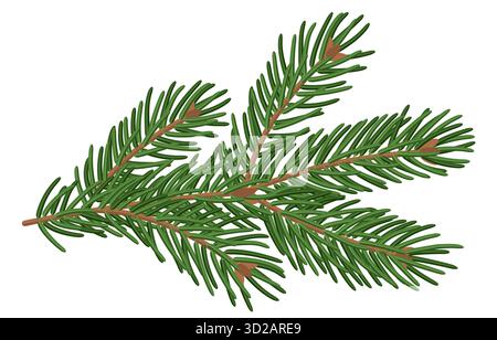 Fir tree twig. Winter holidays decoration. Stock Vector
