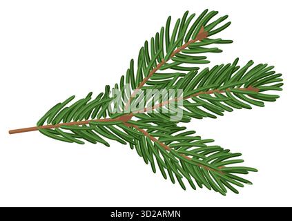 Fir tree twig. Winter holidays decoration. Stock Vector