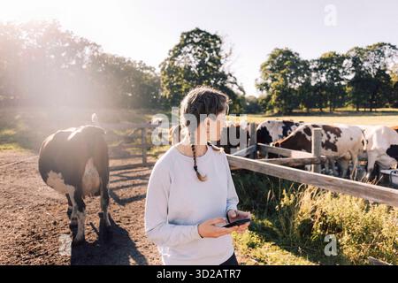 Farmer holding smart phone and looking away while standing at cattle farm Stock Photo