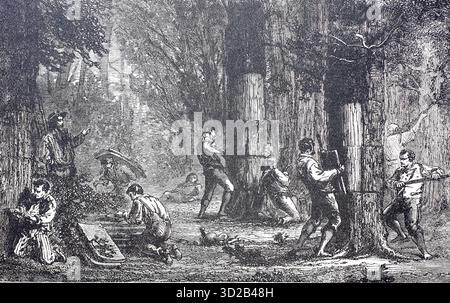 Harvesting cork bark from cork oak trees, circa 1860, Portugal, digitally enhanced reproduction of a 19th-century original, historical, exact date unknown Stock Photo