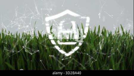 Displaying white shield with house overlaying green grass in front with glowing network connections Stock Photo