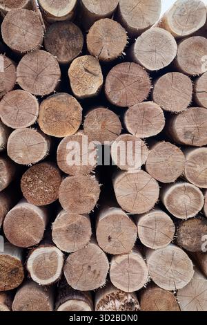 Stack of Cedar Logs Stock Photo