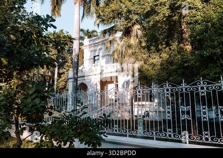 Merida, Yucatan, Mexico, White house with a wrought iron fence and a large tree in front of it. The house has a balcony and a staircase leading up to Stock Photo