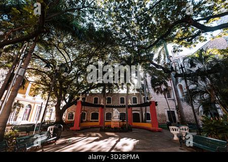 Merida, Yucatan, Mexico, Courtyard with a large tree in the center and a statue in the middle of the courtyard. There are benches and a fountain in th Stock Photo