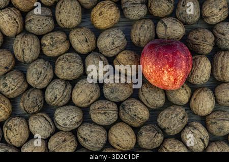 A red apple nestled among walnuts, autumnal atmosphere, nuts in shells on a wooden board. Stock Photo