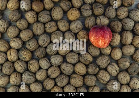 A red apple nestled among walnuts, autumnal atmosphere, nuts in shells on a wooden board. Stock Photo