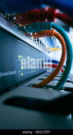 Vertical view of network switch with colorful ethernet cables and green LEDs, showing active data transmission and professional IT infrastructure. Stock Photo