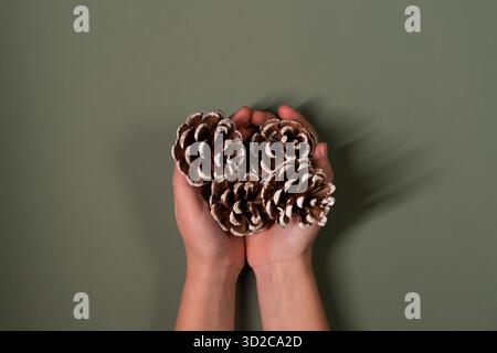 Child's hands holding pine tree cones on a green olive background with copy space. Christmas minimalistic aesthetic template. Flat lay, top view Stock Photo