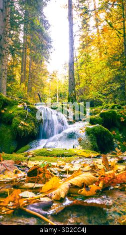 Small waterfall surrounded by colorful autumn leaves and mossy rocks in bright forest light Stock Photo
