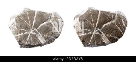 Comparison of dry and wet stone, from above, isolated over white. Rock with white veins of quartz, also called wishing stone. Stock Photo