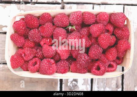 Box of raspberries on wood planks. Fresh juicy background. Stock Photo