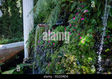 selective focus on small pink flowers growing beside a wet waterfall with green moss Artificial waterfall in the garden Decorating the garden to look Stock Photo