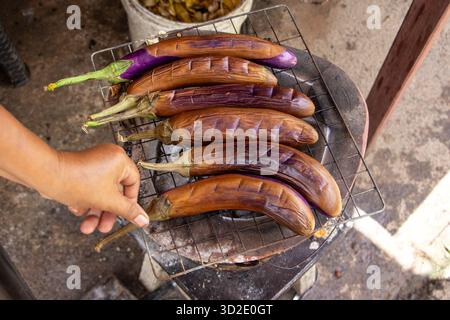 Selective focus purple Eggplant grilled on a charcoal grill Stock Photo