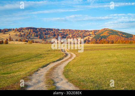 Scenic autumn country road through fields with colorful trees and rolling hills in Transylvania, Romania Stock Photo
