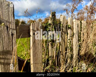 An old wooden fence on farmland in England, U.K. Stock Photo