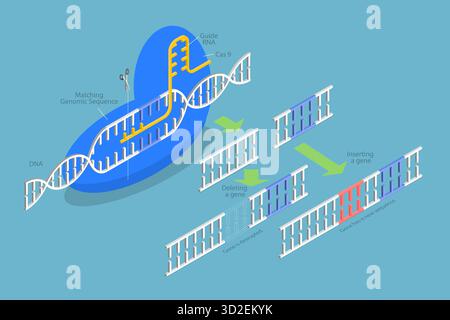 3D Isometric Flat Conceptual Illustration of CRISPR, Artificial Genome Editing 3D Isometric Flat Conceptual Illustration of CRISPR, Artificial Genome Editing Stock Photo