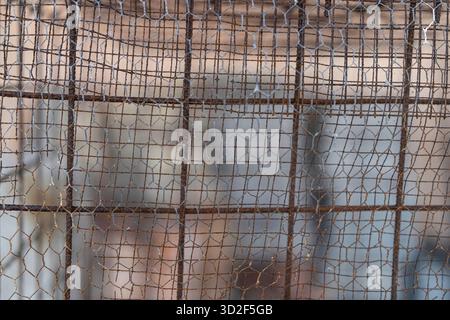 Rusty metal wire mesh close-up, weathered industrial grid showing corroded texture and repeating geometric pattern of decay, aged fence surface in war Stock Photo