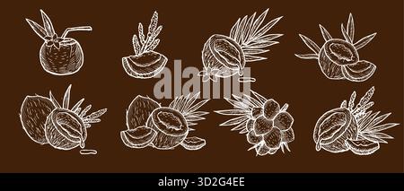 Outline white line art vector illustrations of coconuts, coco branches and cocktail on dark brown background. Can used for wrapping, textile, fabric, Stock Vector