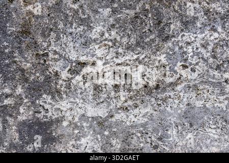 Extreme close-up of a highly textured, rough surface, showing natural weathering, holes, and contrasting shades of gray, black, and white. Stock Photo