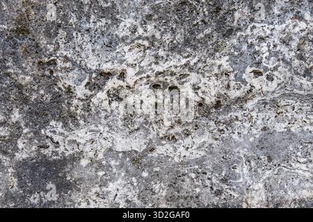 Extreme close-up of a highly textured, rough surface, showing natural weathering, holes, and contrasting shades of gray, black, and white. Stock Photo