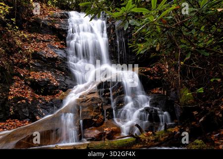 Log Hollow Falls - Pisgah National Forest, near Brevard, North Carolina, United States Stock Photo
