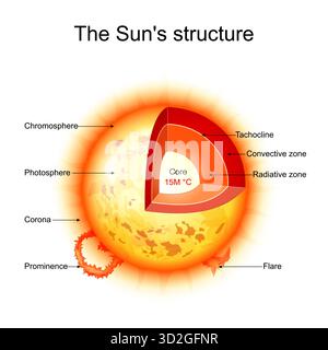 Sun structure. Star interior: Core, Convective zone, Tachocline, Radiative zone. Solar corona, Chromosphere, Flare, Prominence, and Photosphere. Vecto Stock Vector