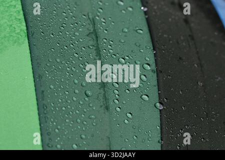 Verdant green surface, abundantly covered with many refreshing water droplets. Macro photography captures intricate wet texture after gentle rain, hig Stock Photo