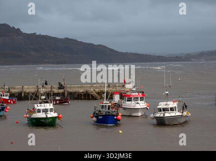 Lyme Regis - looking over the harbour during winter with fishing boats moored agains the storms Stock Photo