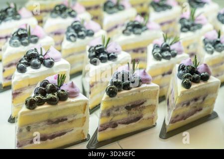 Delicious assorted blueberry yogurt slice on bakery display for sale. Stock Photo