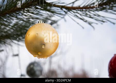 Golden Christmas ball with water drops hanging on pine tree branch outdoors Stock Photo
