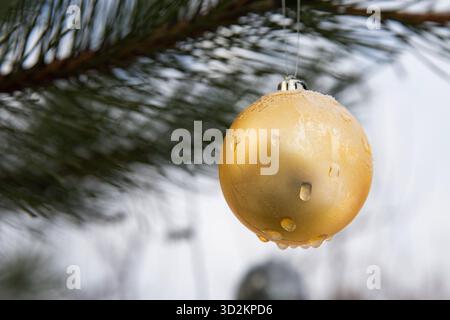Golden Christmas ball with water drops hanging on pine tree branch outdoors Stock Photo