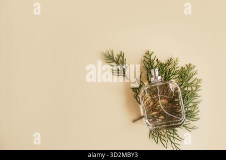 Cosmetic product, spray, perfume in a glass bottle with a fresh aroma lies on the green leaves of thuja. beige background. a copy space. top view Stock Photo