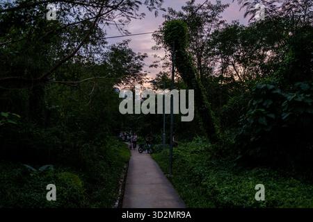 Hong Kong, Hong Kong. 02nd Nov, 2025. A path covered by trees on November 2, 2025 in Hong Kong. (Photo by Vernon Yuen/Nexpher Images/Sipa USA) Credit: Sipa USA/Alamy Live News Stock Photo