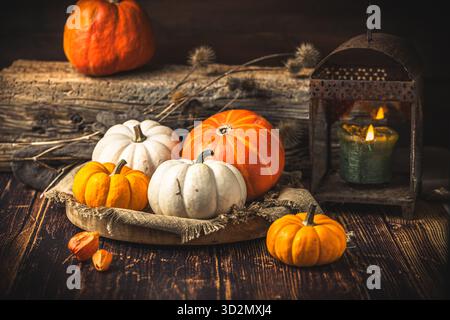 Autumnal decoration with various edible pumpkins on dark wooden background. Stock Photo