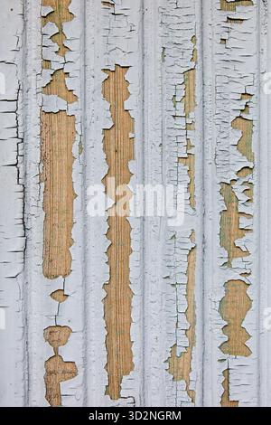 Closeup detail texture of white paint peeling off of an old wooden door, Espoo, Finland. Stock Photo