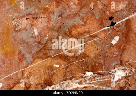 Middle Triassic red Bulog limestone in Zlatibor, Serbia, reveals unique patterns and fossils, highlighting natural history. Stock Photo