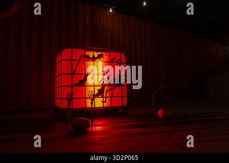 Glowing red cube light with black spiders and bats arranged on wooden deck outdoors, Halloween-themed setup casting eerie reflections in quiet night s Stock Photo