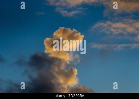 Dynamic cumulus cloud rising vertically in colorful evening sky with sunlight reflection on upper layers displaying natural weather patterns and atmos Stock Photo