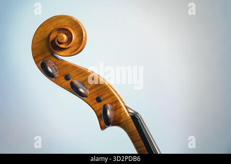 Scroll in the shape of a volute and pegbox of a five-stringed viola, rare musical instrument, side view, gray background with copy space, selected foc Stock Photo