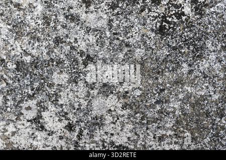 Rough, textured surface with natural weathered pattern gray and black tones. Aged material presents coarse, uneven backdrop, evoking organic decay and Stock Photo