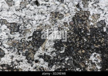 Rugged texture presents an abstract surface, displaying weathered concrete background with dark gray and white areas. distressed material suggests age Stock Photo